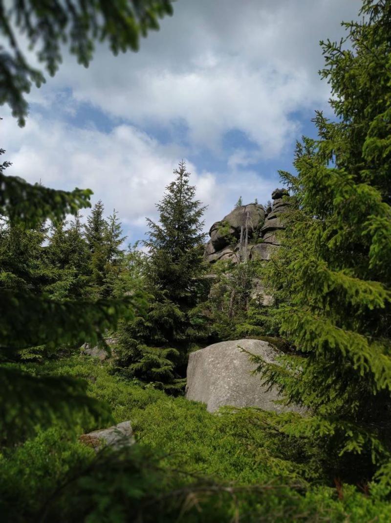 Chalupa U Kuby Vysoké nad Jizerou Exterior foto