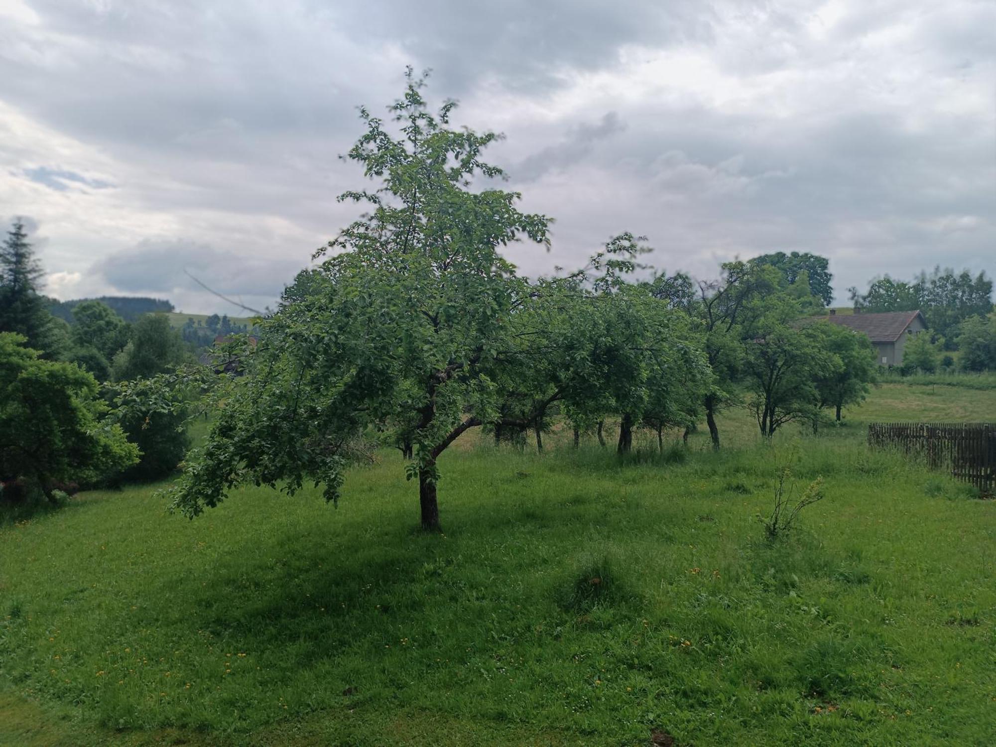 Chalupa U Kuby Vysoké nad Jizerou Exterior foto